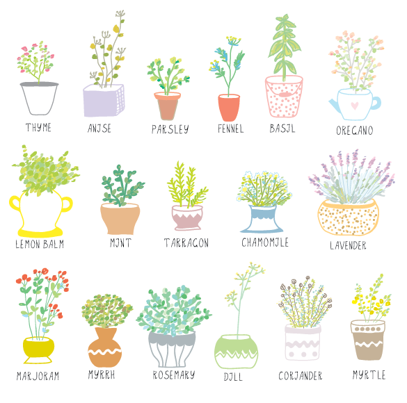 Herbs to online grow